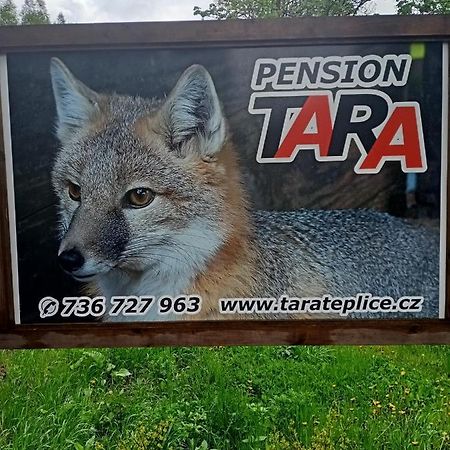 pension TARA Teplice nad Metuji Bagian luar foto