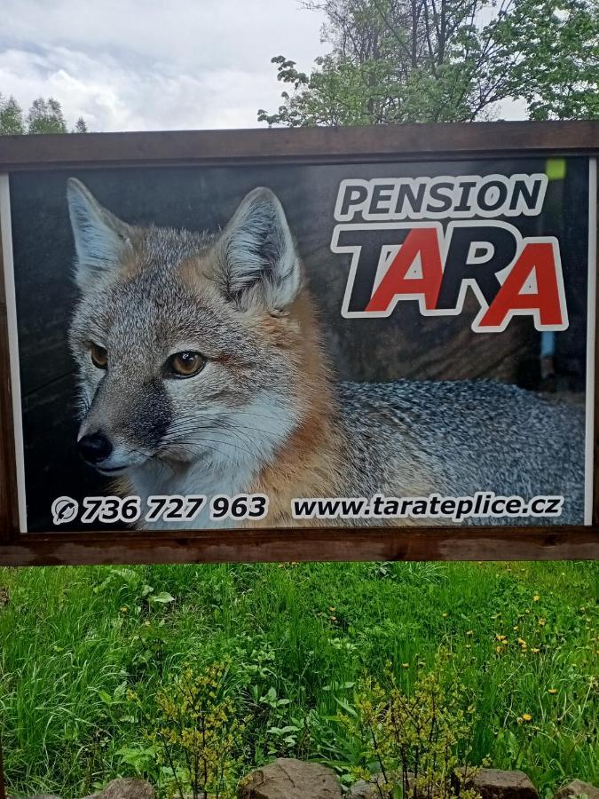 pension TARA Teplice nad Metuji Bagian luar foto